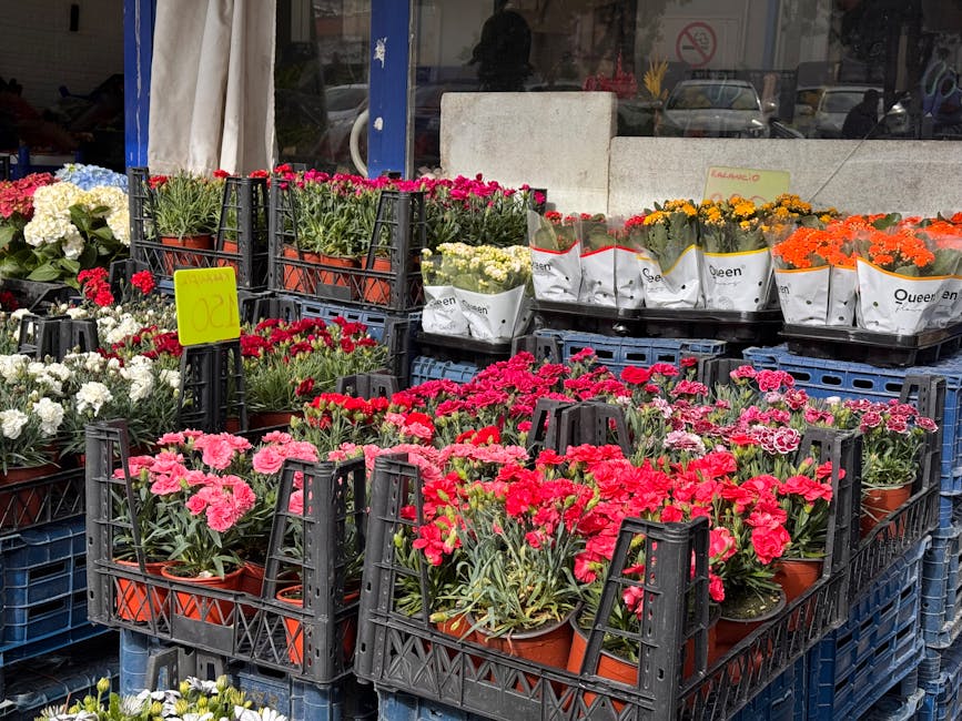 Outdoor display of various potted flowering plants arranged in black plastic crates outside a florist shop, featuring vibrant pink, red, white, orange, and yellow blooms with lush green foliage. The f